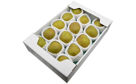 【特秀】山形の極上 ラフランス 特秀品 約5kg(12～16玉)[12月お届け]【令和8年産先行予約】FS25-781