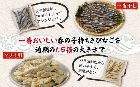【 津曲商店 】 きびなご 一夜干し、 フライ用 詰合せ 1kg K100-001 魚 冷凍