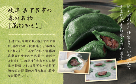 先行予約【期間限定】飛騨の初夏の味！あねかえしと朴葉寿司のセット（2026年6月初旬～6月下旬頃まで発送）【87-4】
