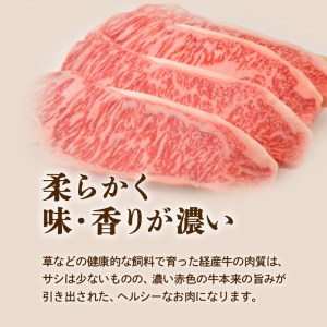 鹿児島県産黒毛和牛サーロインステーキ K098-002 肉 牛肉 冷凍
