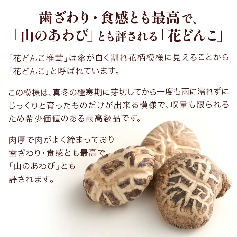 最高級 大分県産 花どんこ椎茸 260g | 津久見市