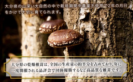 乾燥椎茸 国産 訳あり 小粒どんこ 50g×10パック | 津久見市