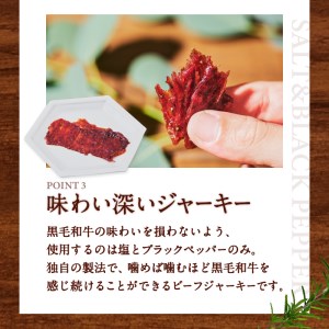 鹿児島県産黒毛和牛モモ赤身ビーフジャーキー K098-009 肉 牛肉