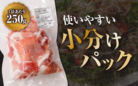 【14営業日以内に発送】【数量限定】鹿児島県産 黒豚切り落とし 3kg K025-001_06 肉 豚肉 冷凍 スピード配送 最短 すぐ届く お急ぎ