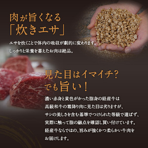 【全6回】黒毛和牛の肉の旨み堪能セット K098-T04 肉 牛肉 冷凍