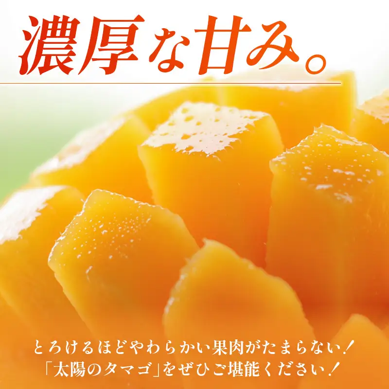 太陽のタマゴ マンゴー 太陽のタマゴ[宮崎 2L 2玉]