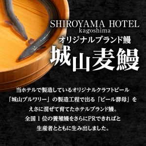 SHIROYAMA HOTEL kagoshima 城山麦鰻 K096-007 うなぎ ウナギ 鰻 ブランド鰻