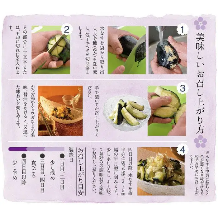【先行予約】中出農園　泉州水なす漬10個入り