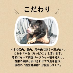鹿児島黒豚 詰め合わせ セット K091-004 肉 豚肉 惣菜 総菜 冷凍