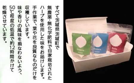 313マチノハーブティー3種類（各2g×6バッグ）