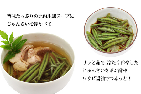 生じゅんさい1kg＋比内地鶏スープ200ml×2袋 《冷蔵》（2026年5月上旬頃～7月下旬までに発送予定） 令和8年産 2026年産 先行受付  秋田県産 三種町産