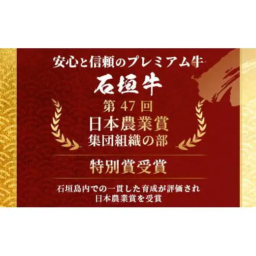 やえやまファームの石垣牛ハンバーグ 6個セット E-27
