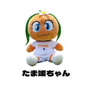 【愛媛FC】ぬいぐるみ三体セット【FC001_x】