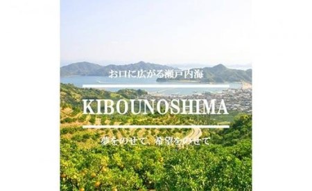 【2026年12月頃から順次発送】【紅まどんなと同品種】愛果28号 訳あり品 2kg まどんな 【FT0241】