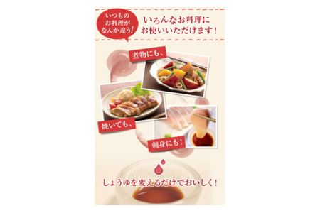 おいしいしょうゆ　900ml　12本セット