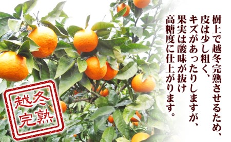 【 小豆島 】 南津海 （ なつみ ） みかん 約5kg 柑橘 ミカン 果物 フルーツ  越冬 完熟 くだもの 国産 香川 香川県 土庄 土庄町