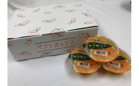 【 柑橘寒づくりゼリー】 いよかん ゼリー 12個 セット おやつ お子様 子ども【JZE0021】