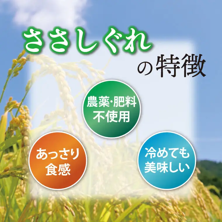 令和7年産 ささしぐれ 玄米 精米 各5㎏ DE009 