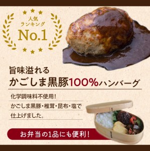 【7営業日以内に発送】【岩元精肉店】かごしま黒豚炙り焼き＆かごしま黒豚ハンバーグセット K045-002 肉 豚肉 惣菜 総菜 冷凍 スピード配送 最短 すぐ届く お急ぎ