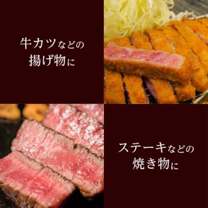 【岩元精肉店】鹿児島県産黒毛和牛A4等級 ヒレステーキ K045-012 肉 牛肉 冷凍