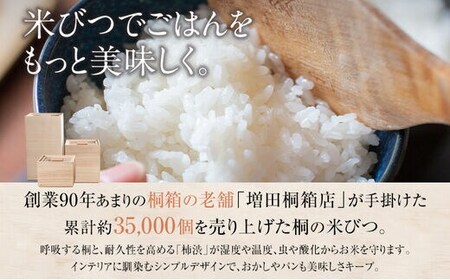 【訳あり】米びつ 5kgタイプ米びつ