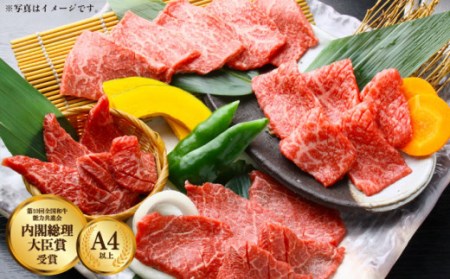 牛肉 長崎和牛 すき焼き・焼肉 計1kg[OAA003] 牛肉すき焼き焼肉