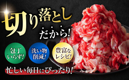 佐賀牛 切り落とし 計 600g （ 150g ×4パック） きりおとし 黒毛和牛[FDC008]