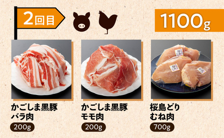 【 岩元精肉店 】 鹿児島県産 精肉 厳選 4か月 お届け コース K045-T04 肉 豚肉 牛肉 鶏肉 冷凍