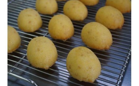 瀬戸内産レモンケーキ 【プレーン】ケーキ ケーキ ケーキ ケーキ【LC0011】