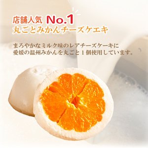 丸ごとみかんチーズケエキ 10個セット チーズケーキ お菓子 スイーツ おやつ ケーキ チーズケーキ スイーツ ケーキ チーズケーキ 道後 愛媛県 松山市【ME004_x】