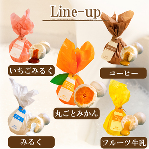 道後ミルクチーズケエキ 5種セット チーズケーキ お菓子 スイーツ おやつ ケーキ チーズケーキ スイーツ ケーキ チーズケーキ 道後 愛媛県 松山市【ME005_x】