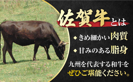 佐賀牛 ロースステーキ2枚とサイコロステーキ 計500g 吉野ヶ里町/一ノ瀬畜産 佐賀牛 牛肉 肉 国産 ブランド牛 ロース ステーキ サイコロステーキ [FDC004]