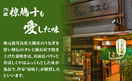 うなぎ 蒲焼 5 パック 【鹿児島名代 うなぎ 食堂 末よしのうなぎ 蒲焼 】 K047-001 魚 惣菜 総菜