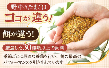 産みたて新鮮たまご 野中のたまご 40個[OAC001] 