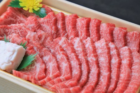 【神戸牛】焼肉用特選モモ 600g【最短7営業日発送】黒田庄和牛 【冷蔵】(tokusan-14)
