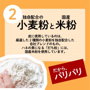 ちゃこばあちゃんの黒豚入りうんまか生餃子 120個入り K027-003 肉 豚肉 惣菜 総菜 冷凍