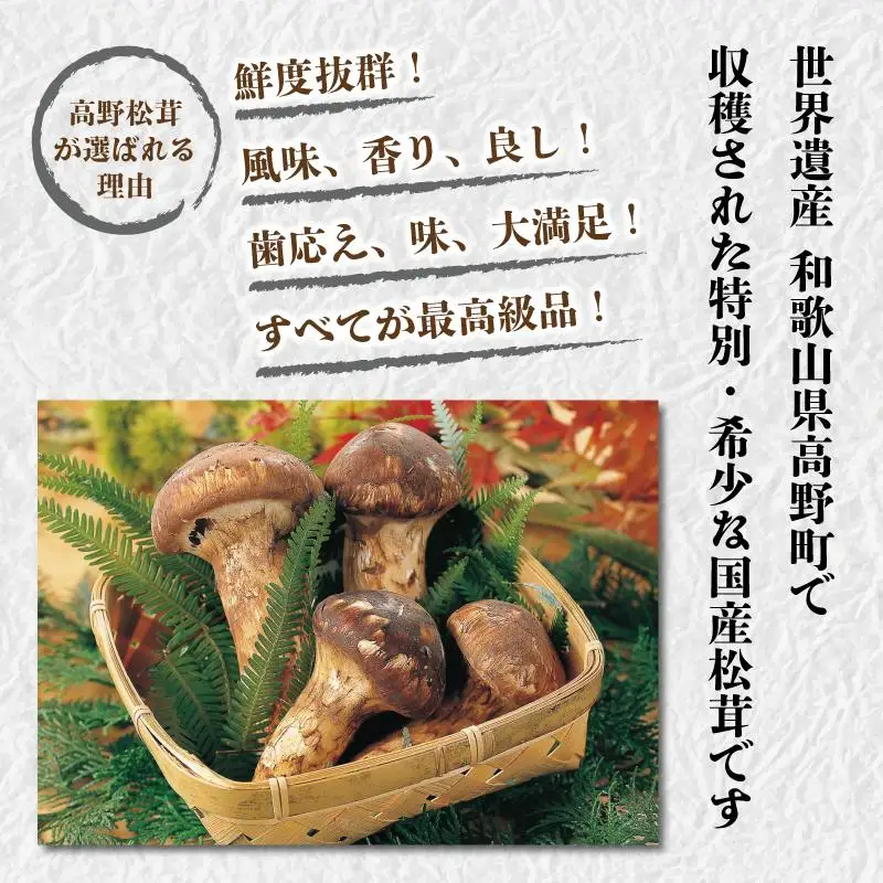 国産【2026年発送分】香り・歯応え・味ともに最高級！希少な国産松茸「高野松茸」300g【化粧箱入】