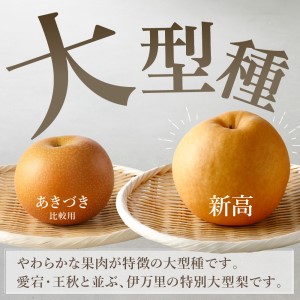 【令和8年産先行予約】伊万里梨「新高」 5kg 大型種 178-B942