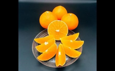 【2026年12月頃から順次発送】愛果28号 (紅まどんな と同品種) 5kg 家庭用  | 愛媛産 愛媛県産 国産 愛媛みかん 愛媛蜜柑 愛媛ミカン みかん ミカン mikan 蜜柑 柑橘 フルーツ 果物 くだもの お取り寄せ 産地直送 数量限定 人気 おすすめ 愛媛県 松山市 送料無料 ）【PT0021】