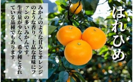 【早期予約受付中！2026年12月より順次発送】二種のみかん食べ比べ箱 愛果28号・はれひめ(秀~優品) 約2.8kg【PT014_x】