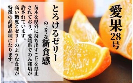 【2026年12月頃から順次発送】二種のみかん食べ比べ箱 愛果28号・はれひめ(家庭用) 約 2.8kg 食べくらべ 愛媛 みかん 詰め合わせ 蜜柑 柑橘 果物 くだもの フルーツ お取り寄せ グルメ 期間限定 数量限定 人気 おすすめ 愛媛県 松山市【PT0221】★みかんみかんみかんみかん
