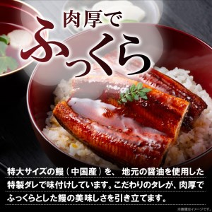 うなぎの蒲焼ビッグサイズ　2尾（計600g前後）_K04705
