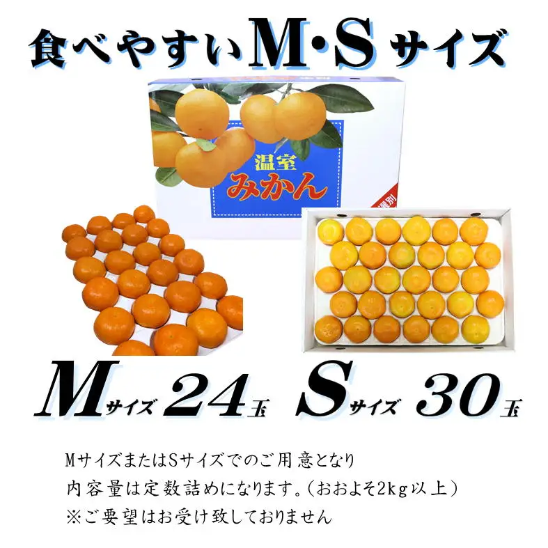 【2026年7月中旬頃から順次発送】ハウスみかん 愛媛 秀品 おすすめ 人気 ギフト みかん JA 愛媛県 松山市 柑橘 くだもの ハウスみかん ミカン果汁 デザート 愛媛みかん 柑橘類 カンキツ かんきつ 蜜柑 蜜橘 樒柑 松山のハウスみかん 愛媛のみかん 甘いハウスみかん フルーツ 果物 温州みかん 極早生種 早生種 温州ミカン 果肉 果汁 ハウスみかん果汁 【SSK0051】