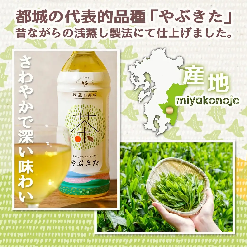 【みやこのじょうのお茶】やぶきた500ml×24本(2ケース)〔AD-I501〕_(都城市) お茶 ペットボトル 500ml 24本 2ケース