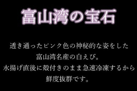富山湾 名産の 白えび 殻付き 200g /海老 エビ 冷凍 さしみ / くろべの太陽 / 富山県 黒部市 刺身 海鮮 魚 魚介類 魚介 