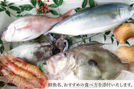 定期便 魚 富山湾直送 とれたて鮮魚セット 約2.5～3.5kg×3回 旬 新鮮 鮮魚 詰め合わせ 産地直送 冷蔵 / くろべ漁業協同組合 魚の駅「生地」/ 富山県 黒部市 地魚 お楽しみ 魚介 魚介類 