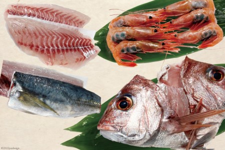 魚 富山湾直送 さばいた鮮魚セット 4～5種 旬 新鮮 鮮魚 刺身 詰め合わせ 産地直送 冷蔵/くろべ漁業協同組合 魚の駅「生地」/富山県 黒部市 海鮮 魚介類 魚介 
