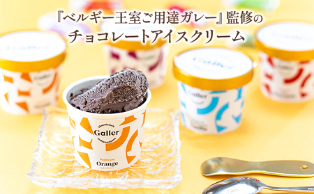 ガレープレミアムアイスクリーム 12個 お菓子 菓子 スイーツ 