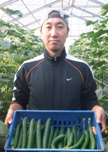 朝採りきゅうり 5kg  | きゅうり キュウリ 胡瓜 朝採り 新鮮 朝収穫 サラダ ユーファーム 埼玉県 杉戸町