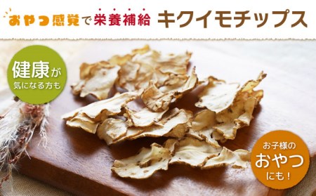 嬉野市産キクイモチップス・パウダー2点セット NAG009 菊芋きくいも